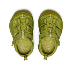 Toddlers' Newport H2 Golden Cypress Monochrome
