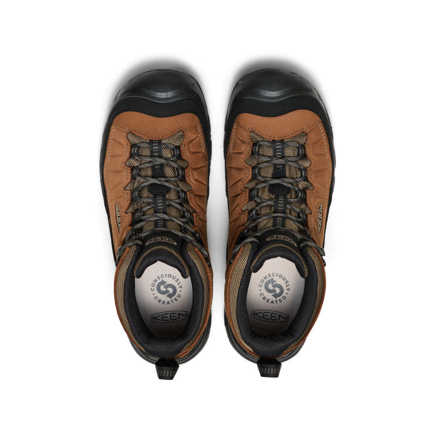 Men's Targhee IV Waterproof Hiking Boot Bison/Black