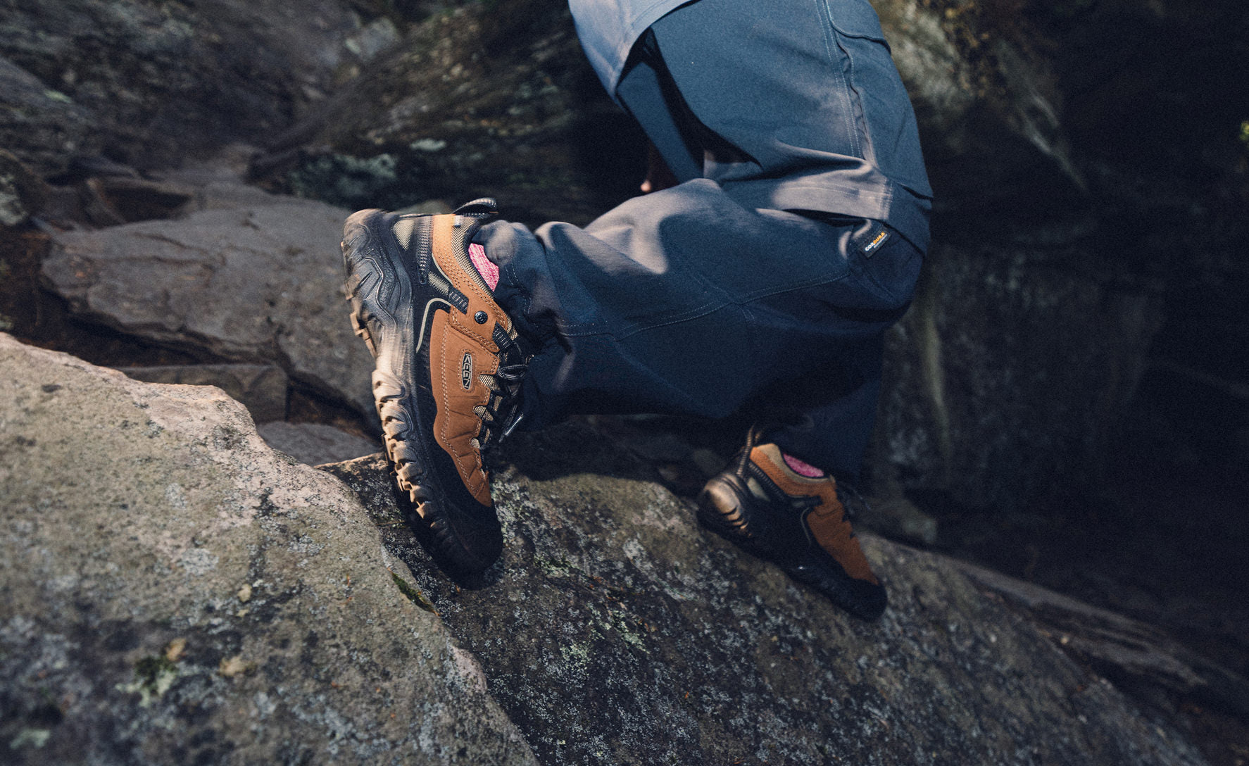Men's Targhee IV Waterproof Hiking Shoe Java/Bison