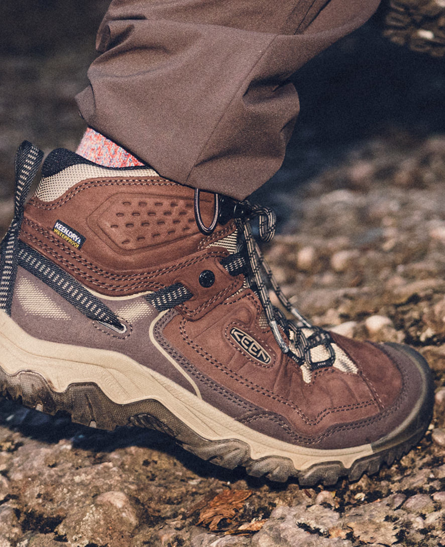Men's Targhee IV Waterproof Hiking Boot Java/Brindle