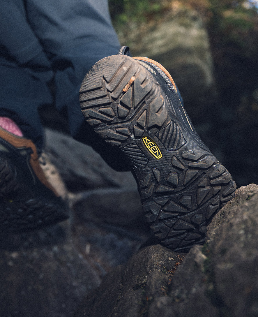 Men's Targhee IV Waterproof Hiking Shoe Bison/Black