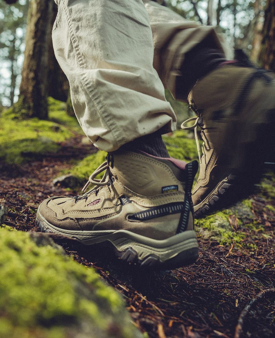Women's Targhee IV Waterproof Hiking Boot Brindle/Nostalgia Rose