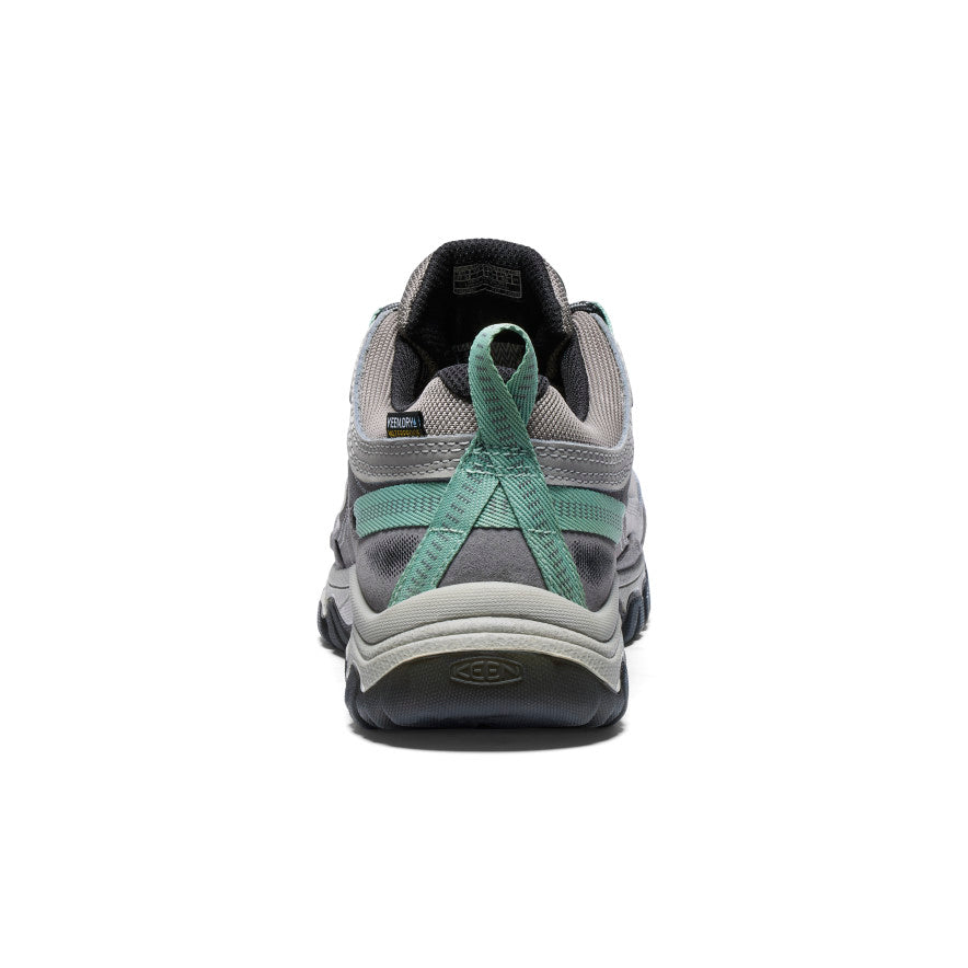 Women's Targhee IV Wide Waterproof Hiking Shoe Alloy/Granite Green
