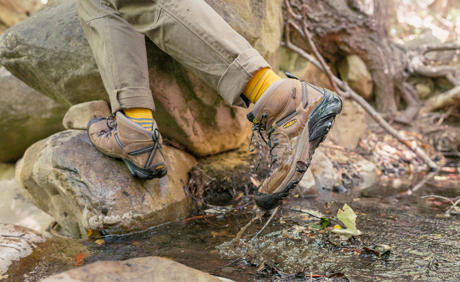 Men's Targhee II Waterproof Mid Wide Shitake/Brindle