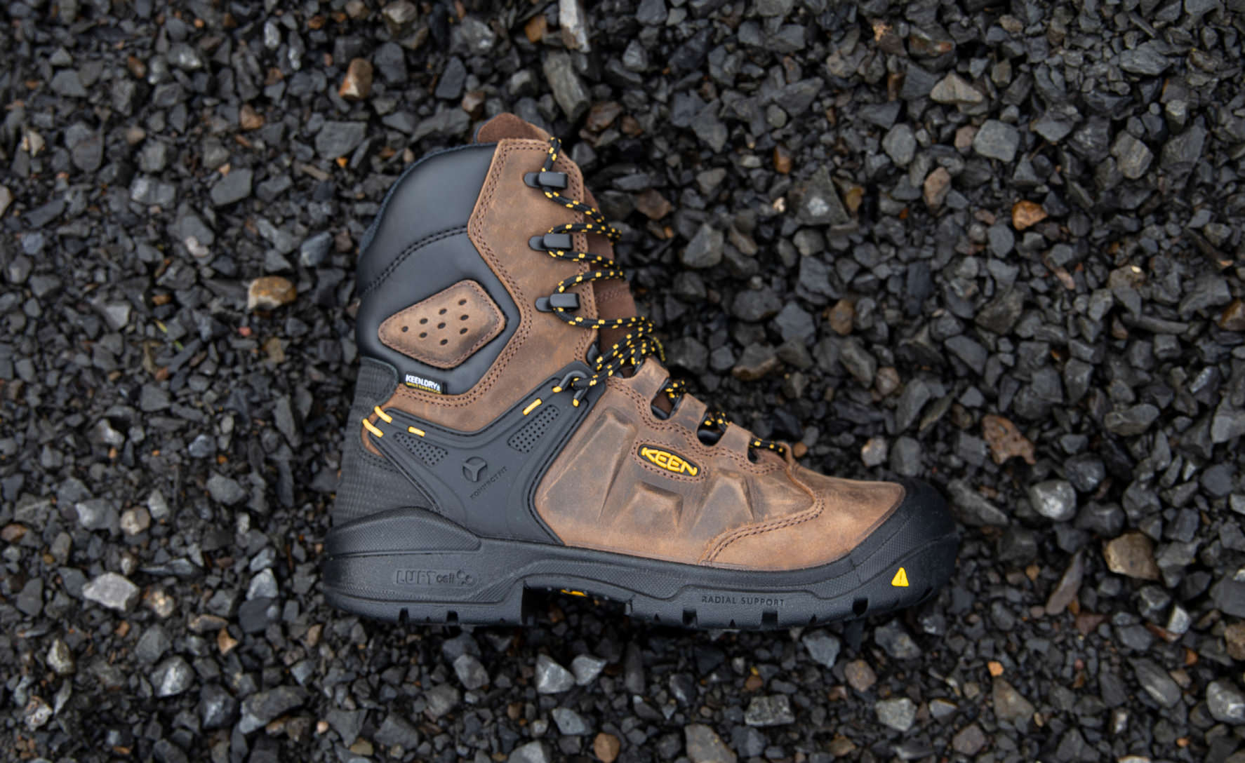 Men's Dover 8" Insulated Waterproof Boot (Carbon Toe) Dark Earth/Black