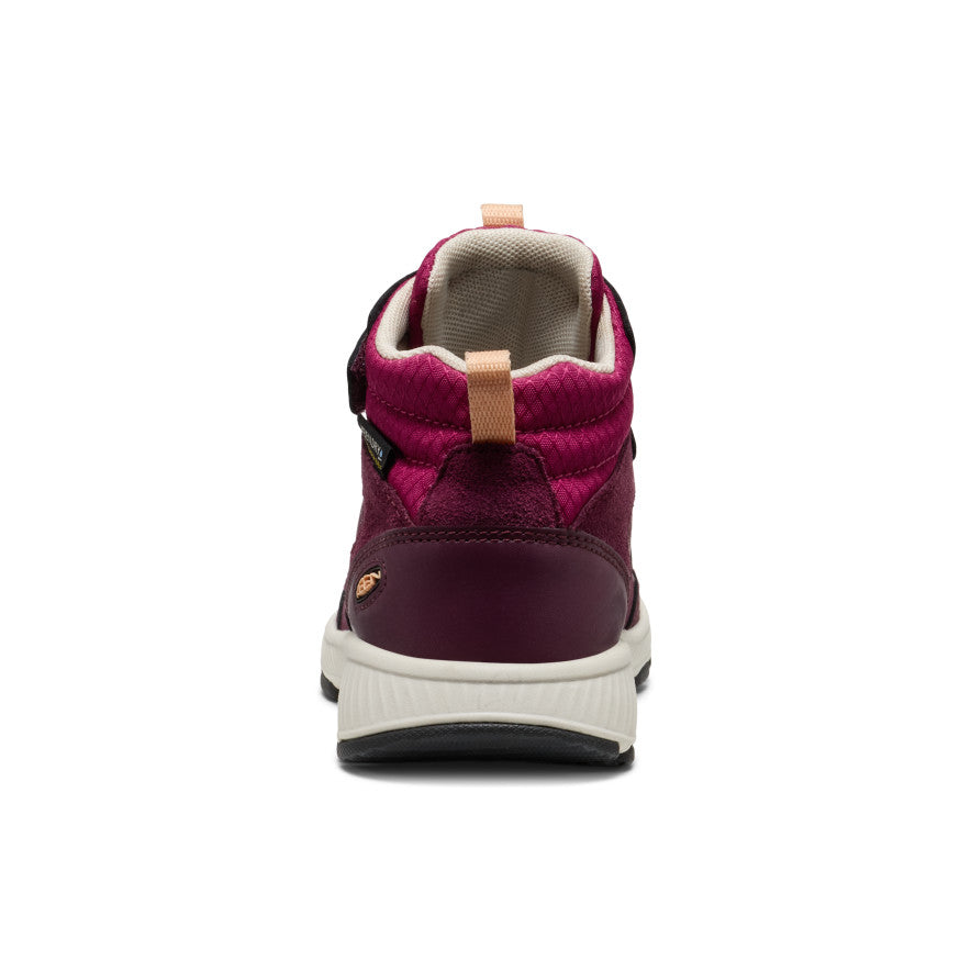 Little Kids' Skua Waterproof Boot Fig/Peach Fuzz